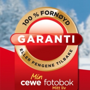 100 % fornydgaranti