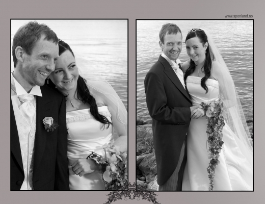 2010-1-15x15-hayde