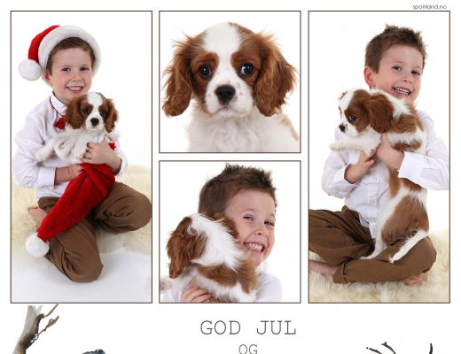 jul-2014-10