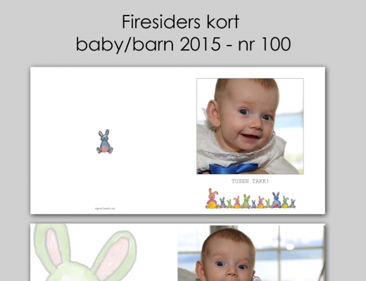 2015 - baby/barn - 100