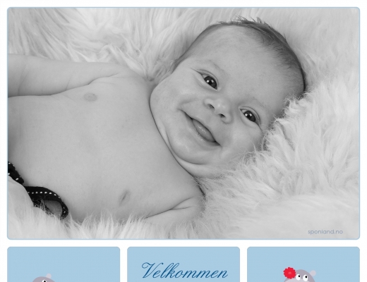 02-2016-15x15-barn_baby
